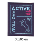 Термоаппликация 36498-500 «Эктив 19» 6*8,5 см