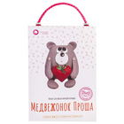 Набор мягкая игрушка ТК-005 «Медвежонок Проша» 558277 25 см