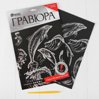 Гравюра Школа Талантов 3536799 «Дельфины» 21*29 см Гр с эффектом серебра в интернет-магазине Швейпрофи.рф Гравюра Школа Талантов 3536799 «Дельфины» 21*29 см Гр с эффектом серебра в интернет-магазине Швейпрофи.рф
