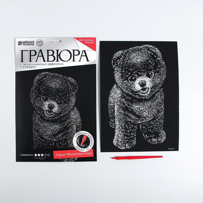 Гравюра Школа Талантов 4063548 «Шпиц» 21*29 см Гр с эффектом серебро в интернет-магазине Швейпрофи.рф