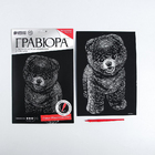 Гравюра Школа Талантов 4063548 «Шпиц» 21*29 см Гр с эффектом серебро в интернет-магазине Швейпрофи.рф Гравюра Школа Талантов 4063548 «Шпиц» 21*29 см Гр с эффектом серебро в интернет-магазине Швейпрофи.рф