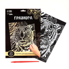Гравюра Школа Талантов 6942261 «Тигр» 21*30 см Гр золото