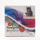 Алмазная мозаика DIY (с рамкой) MF-29042 «Котенок» 20*20 см в интернет-магазине Швейпрофи.рф