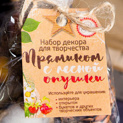 Декор 1971051 «Прямиком с лесной опушки» набор природного декора в интернет-магазине Швейпрофи.рф
