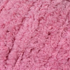 Пряжа Софти (Softy) 50 г / 115 м 028 сухая роза в интернет-магазине Швейпрофи.рф Пряжа Софти (Softy) 50 г / 115 м 028 сухая роза в интернет-магазине Швейпрофи.рф